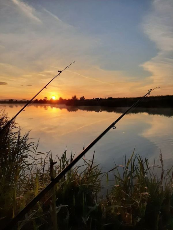 ������ ������ ����� ������ ��� ��������� ��� �������?