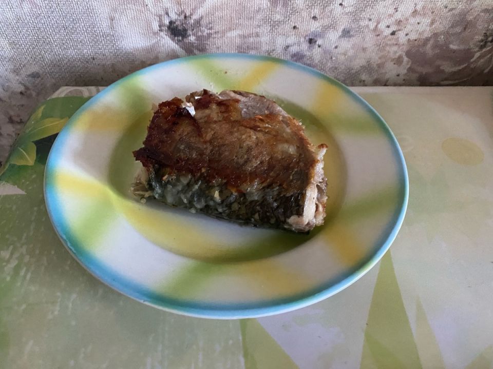 ������ �� ���������: ��� ����������� ������� ����� �� 20 �����