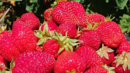 ��� �������� ������� ������ ��������: ������� �������� ���������