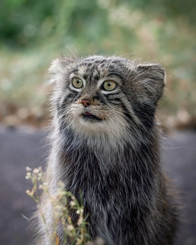 ����� ������� ������ ��� ������� ����!