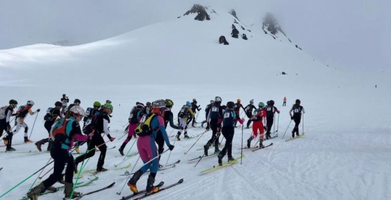 ���������� ���-���������� ����� ������ �� �������� ������: ������ �������� � ������ ����� ������