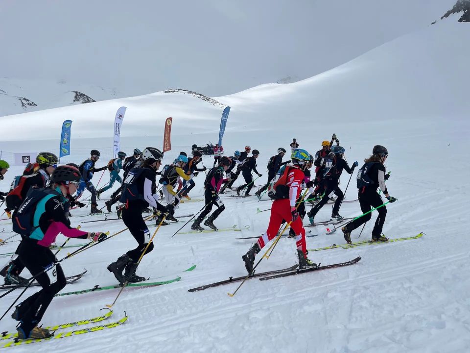 ���������� ���-���������� ������ ������������ �� ��������