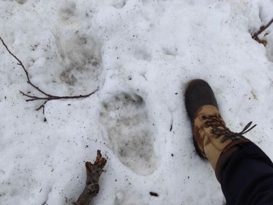 ������� ���������� �������� ��������� �����