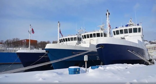 �������� �������: �� ������� ��������� ������������ ���������� ��������� ��� ����� � 1 �� 11 ����� �� ����� ����� ���������� ������������