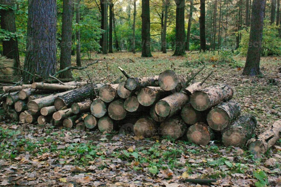 � ���������� ������ ����������� ������� ���������