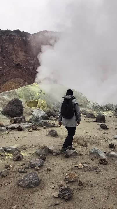 ������ ����������, ��������