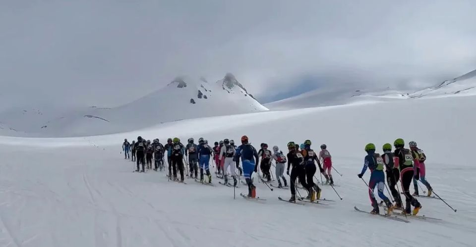 ������������� ������������ �� ���-���������� ����������� �� ��������