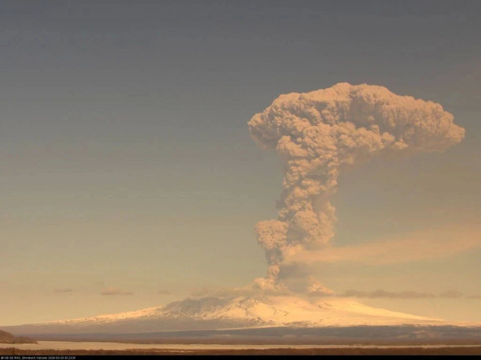 �� �������� ������������ �������� ���������� ����� ������ ��������