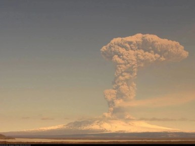 �� �������� ������������ �������� ���������� ����� ������ ��������