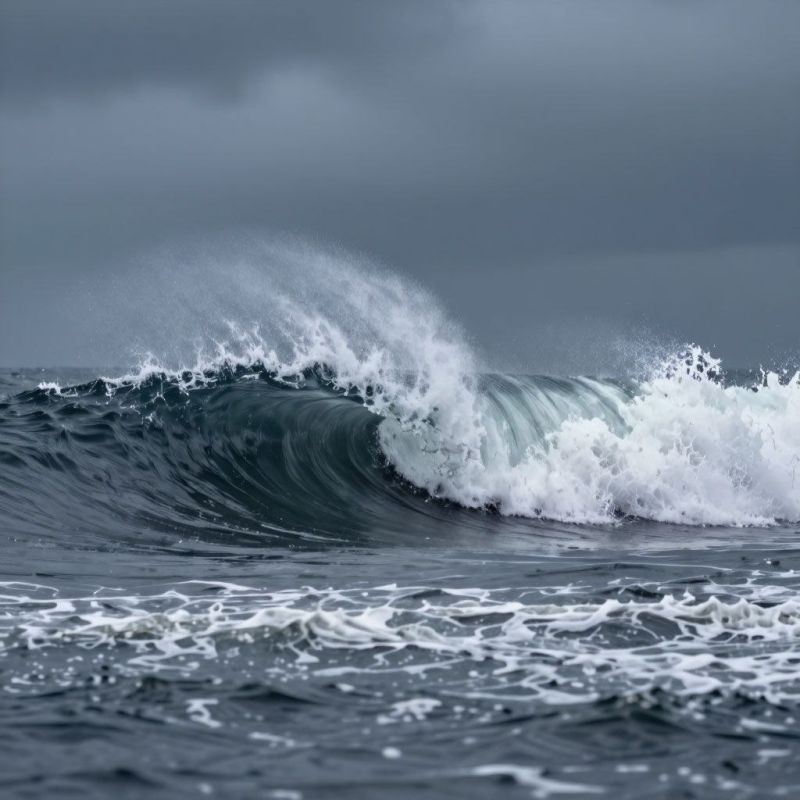 ����� � ��������������� ������� ��� � ������� ��������