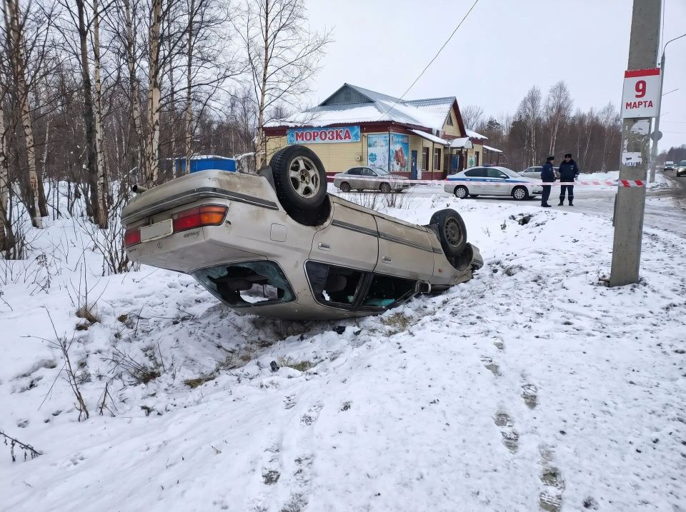 ��� ���� �������� �� 14-�������