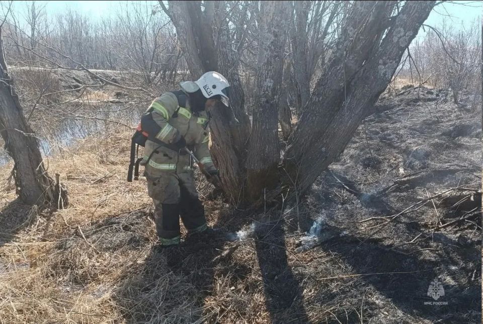 ������������� ����� �� �������� �������� 1 ���