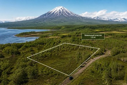 ����������� ����� �� �������� ��������� ������ ����� �� �����