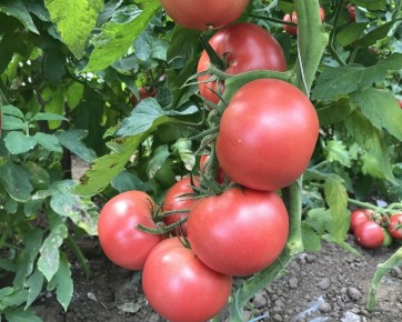 ������� ��������� ������: ��� ��������� ��������� ������ � 2025-�