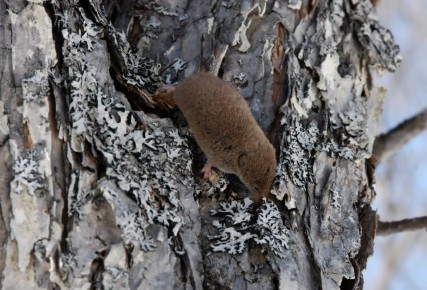 ���������� ��������� ��� ��� ��������� � �� ��������