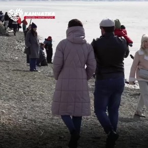 ���� ������ � ���������� ���� ����� � ��������� ������� ������� ��������