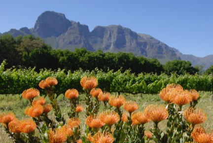 ������� �������������� �������: ��� ���������� �������� � ���������