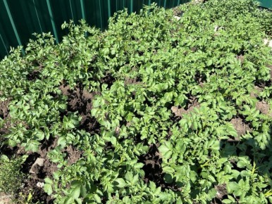 ������ ��������� � ����: ������� ��������� ������