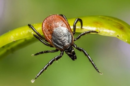 ����������: ��� ���������� �� ��������� ����������