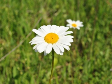 ��� �������� ����� �������� ��� ���: ����������� ��������� ��� ��������� ����