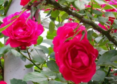 ��� ���� �������� ��������� ����� � ����������: ������� ��������� �����