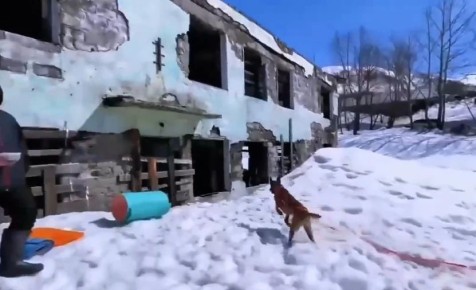 ����� � ��������: �������� ��� � �������� ����������� ������ ����� � ����������� �������