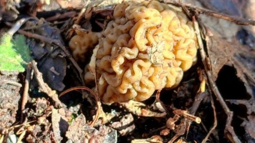 ����� ������: ��� ����� ��������, � ��� ������� ��������