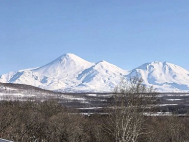 ������� ������ ���� ������� ������� ����� ���������