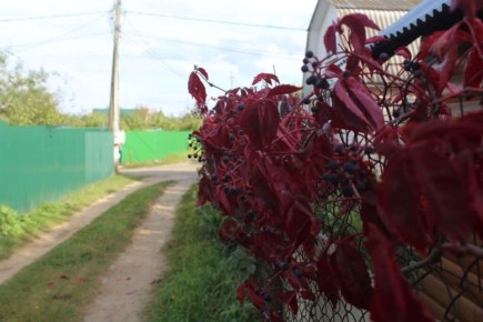 ��� �������� ���� ��� �� ��������� ��������