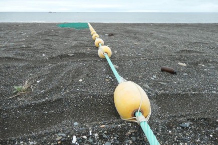 ������� �������� �� �����������: ����������� ������� ������������� �������� �� ���������� �������