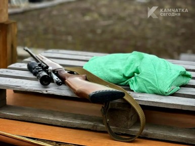 �������� ����� ����� � ����-���������� ������ �������� � ���