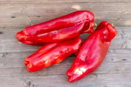 ����� ������� ����: ������ ���� � ������������� ��������� � ����������������