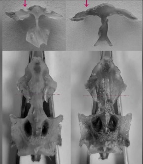 �� �������� ����� ��������� ������ � ��������� �������