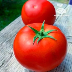 ����� ����������: ���� � �������� ������� � �������������� ������