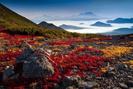 ����� �������� 45+: ����� ����� � ����������� � �������� ������� ������ � ��������� ������ �� ��������