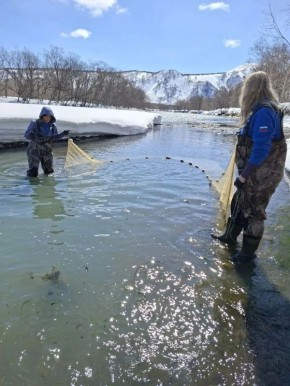 ���������� ������ ������� ����� ������� ������������ �������