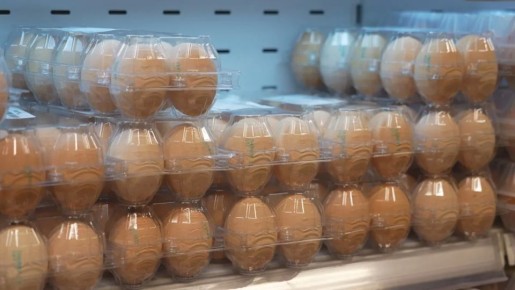 ���������� ���� ����� ����������� ����� ���������� ������� ���� �� ��������� �����