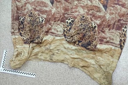 ����������� ��� ������� ������ ������� ���� � �������� �� ������ ��������