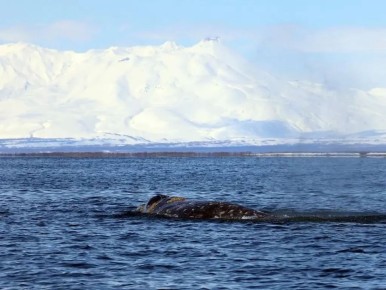 ���� ��������� �� �������� ���������� ����� ������� � ����������