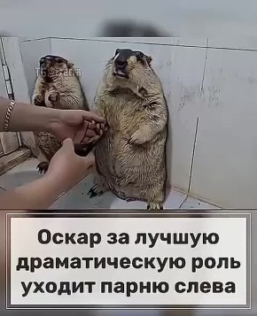 ��� �������, ������ ������������� ���� ������� �����, ��� ������� 80-��� ������?