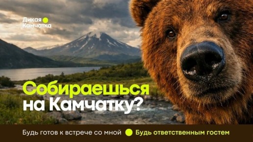 �� ������ �����������. ���������� ���� ��� ����������� ������ ������ ��������