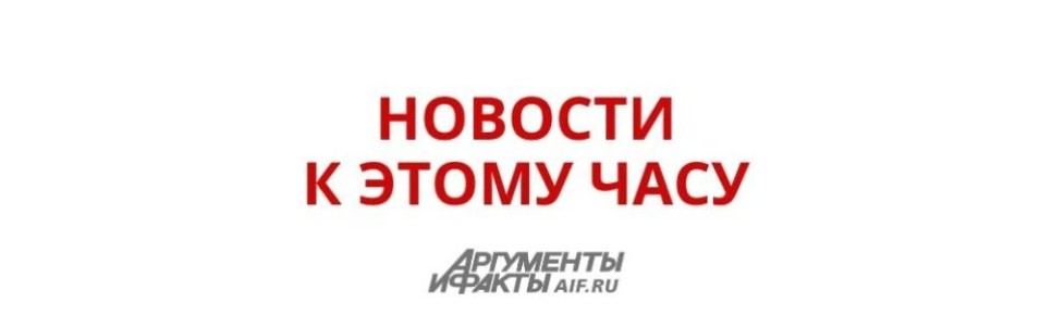 ����� ������ ���������� ��� ����������� ���� ��� ����������� ������������ ������������ 81-� ��������� ��� ������ 9 ���, ������� � ����������