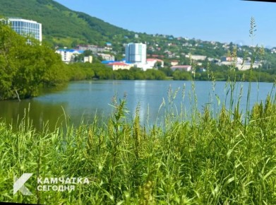 Горожан приглашают обсудить благоустройство природного парка «Култучное озеро»