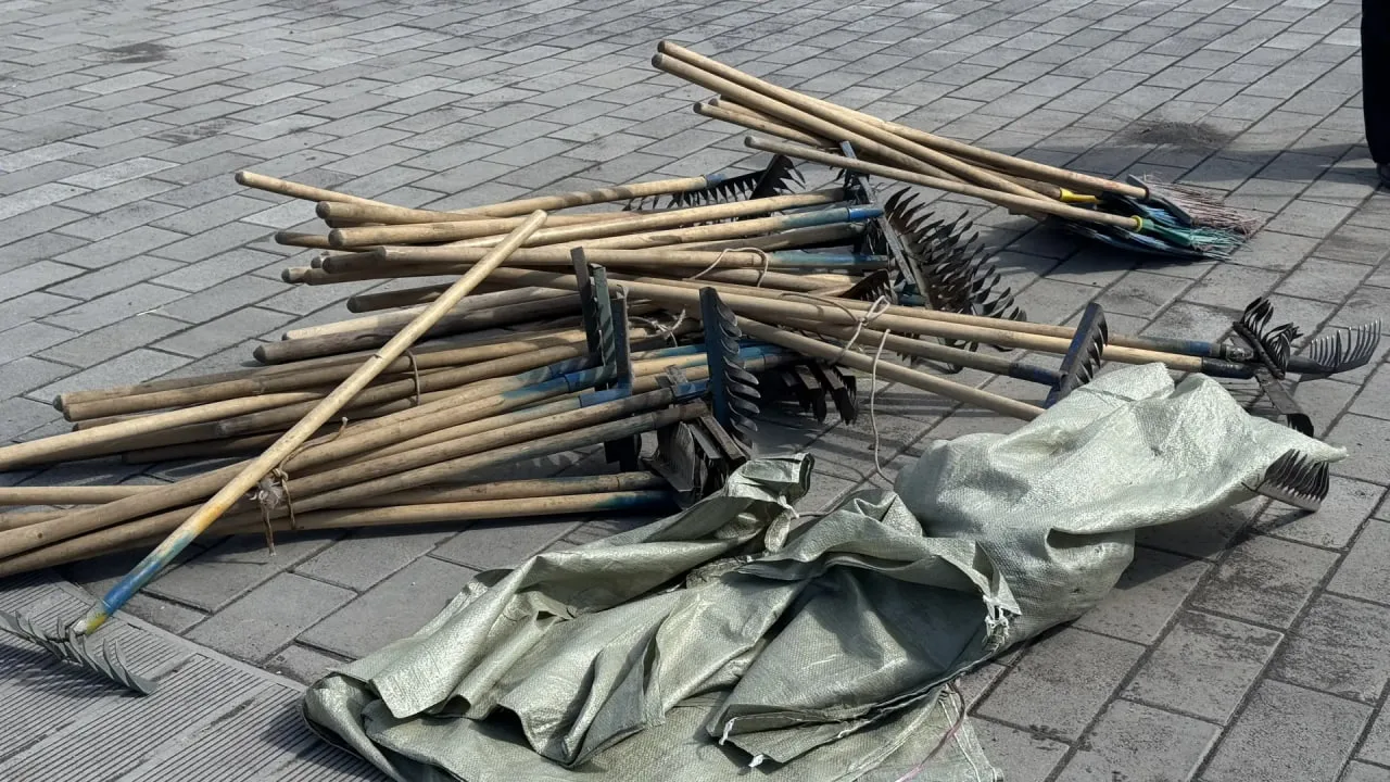 В Петропавловске-Камчатском пройдёт Всероссийский субботник