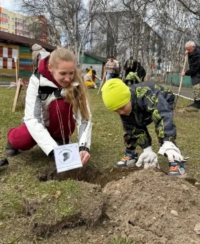 Камчатцы высадили живые мемориалы в честь героев Великой Победы Камчатцы высадили живые мемориалы в честь героев Великой Победы