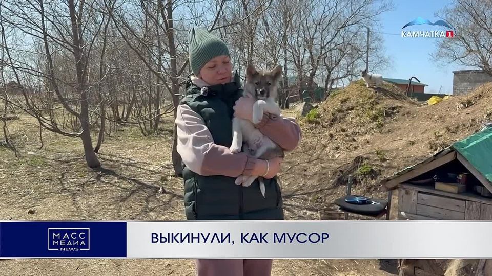 ЩЕНКОВ ЛАЙКИ ВЫКИНУЛИ, КАК МУСОР!
