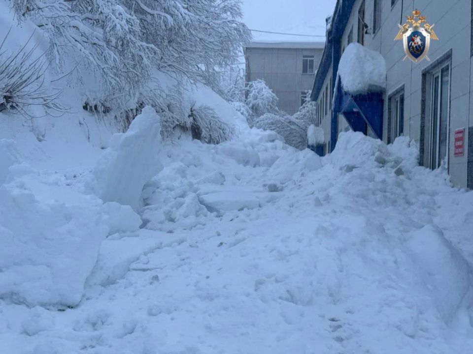 Директору камчатской УК не удалось уйти от тюрьмы за смерть человека из-за снега с крыши