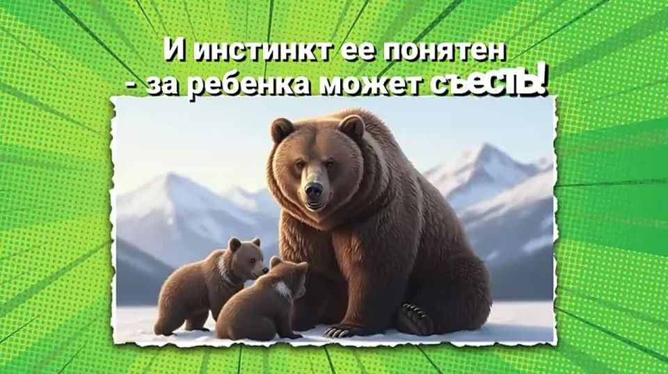 Наслаждайтесь безопасно красотой Камчатки! Соблюдайте правила! Будет все в порядке!