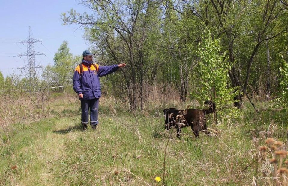 Камчатские кинологи принимают участие в аттестации кинологических расчетов МЧС России из регионов ДФО Камчатские кинологи принимают участие в аттестации кинологических расчетов МЧС России из регионов ДФО