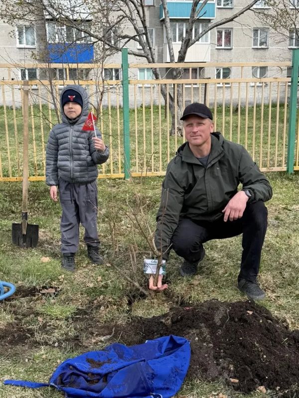 Патриотическая акция «Сад памяти» прошла в Елизовском округе Патриотическая акция «Сад памяти» прошла в Елизовском округе